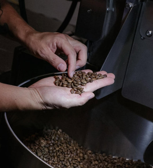 Café The Fix Colombia Caldas (descafeinado)