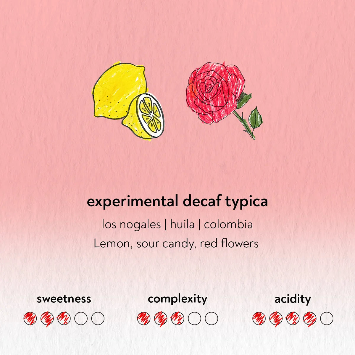Café Sandbox Colombia experimental typica decaf